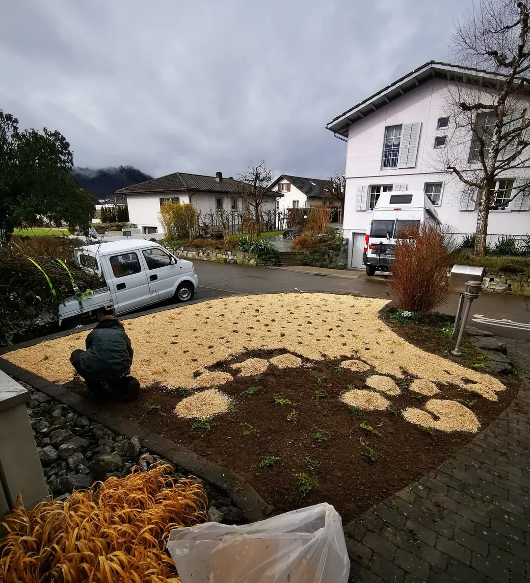 Bepflanzung Rubigen 2