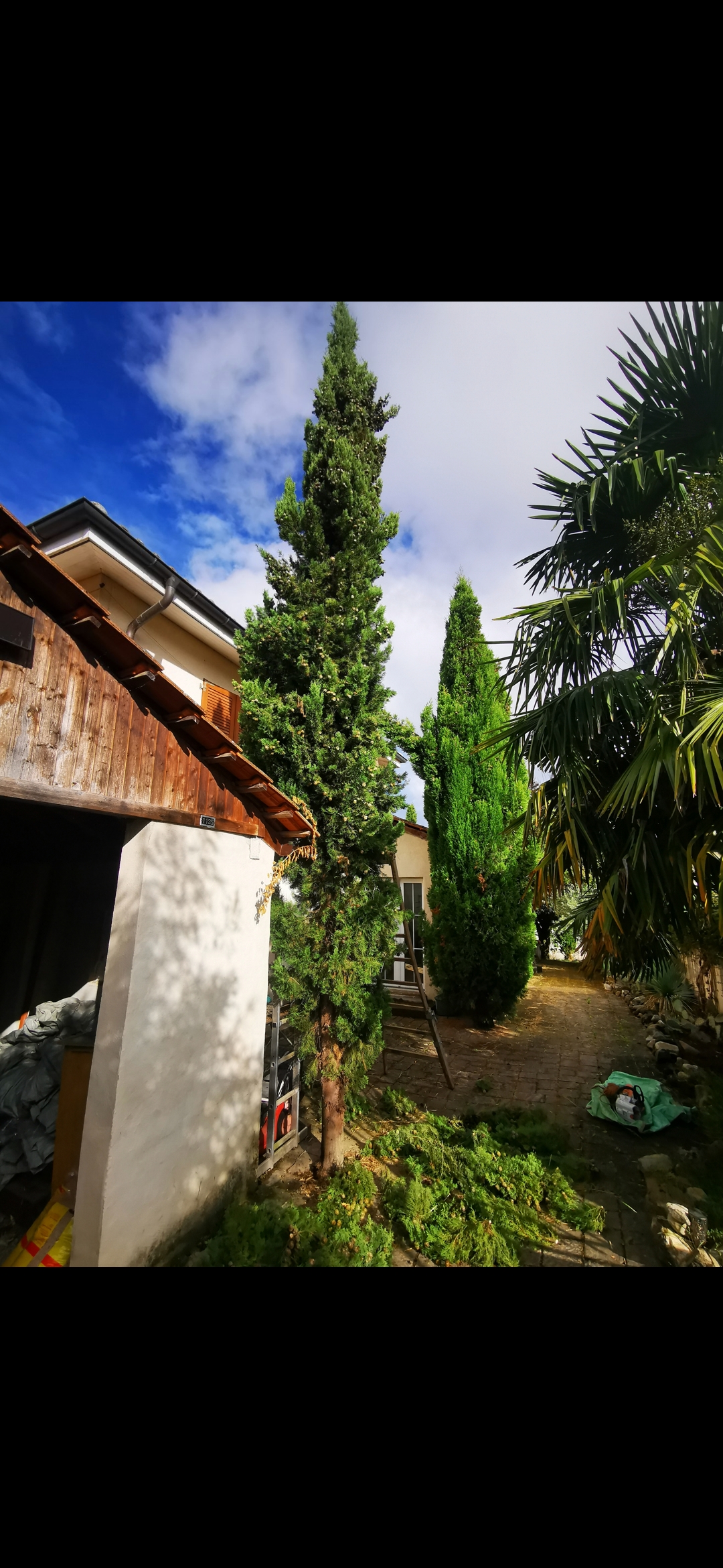 Garten Unterhalts und Pflege arbeiten 10