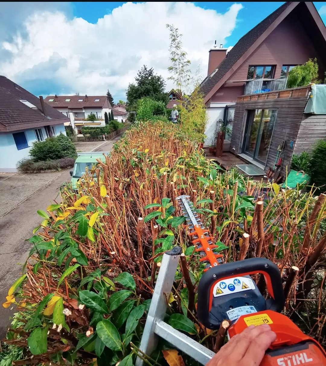 Heckenschnitt Münsingen 2