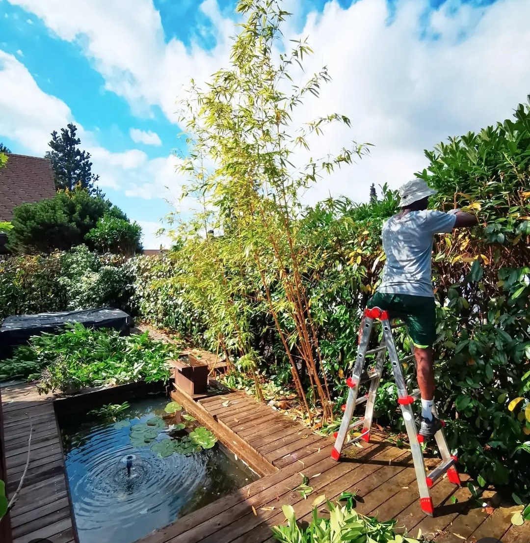 Heckenschnitt Münsingen_