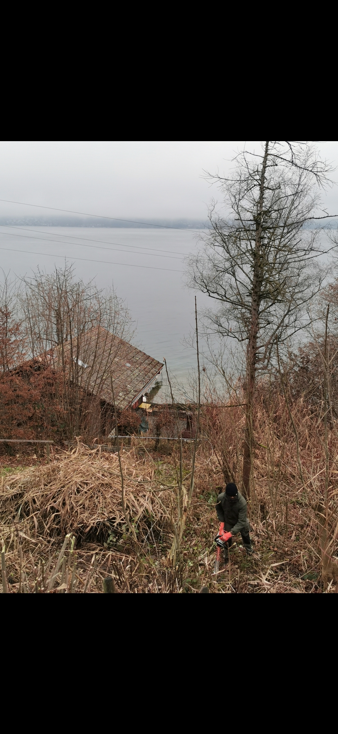 Heckenschnitt am see