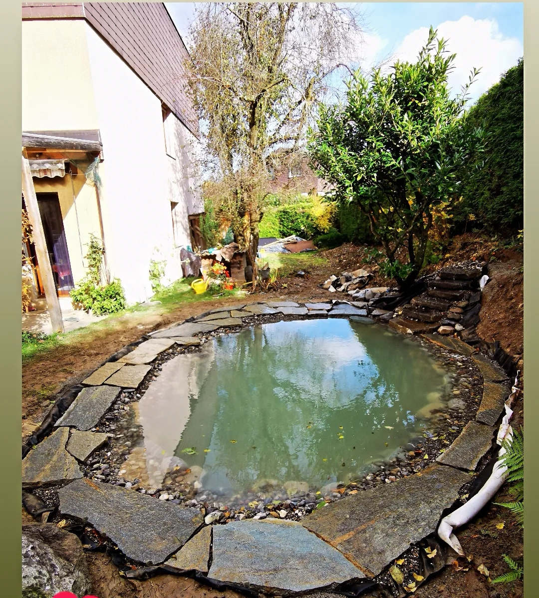 Neugestaltung Teichbau