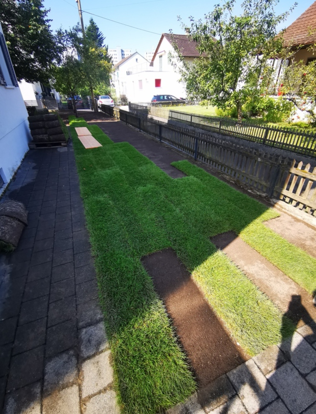 Rollrasen Fläche erstellen Aargau