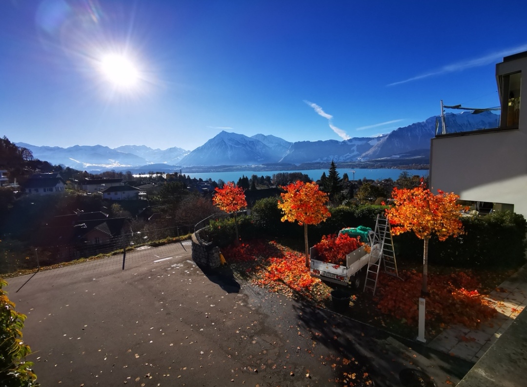 Winterschnitt Thunersee