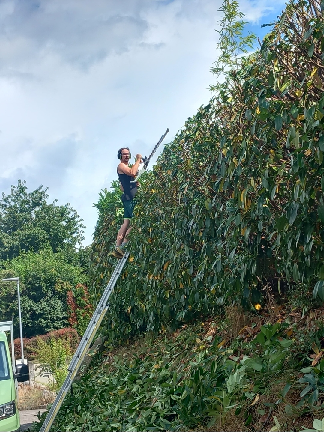 heckenschnitt Münsingen 3